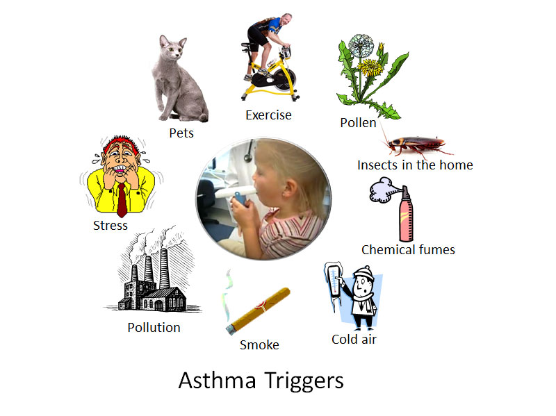 Asthma / breathing conditions