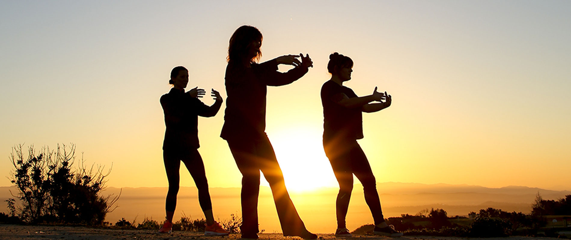 Shibashi Tai Chi